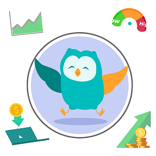 Bold Owl