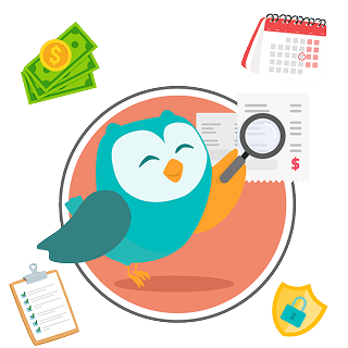 Practical Owl