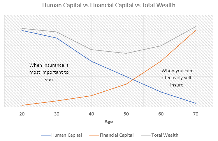 human capital and financial capital change